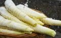 春天就要吃筍！這些選購和食用訣竅快來學一學縮略圖