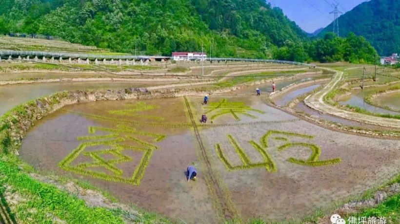 佛坪這些地方，讓你的春游不再單調！插圖17