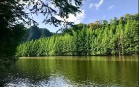 火爆出圈的漢中出游“頂流”，您最鐘意哪一處？縮略圖