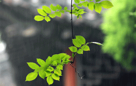 漢中這些地方雨天別有風(fēng)情，總有一處深得你心！縮略圖