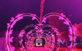 燈光節(jié)，快來體驗夏夜的“繁光遠綴天”！縮略圖