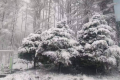 陜西多地5月飄雪！氣象局連發(fā)12個預(yù)警 最低氣溫6℃……縮略圖