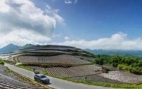 在南鄭，這條“紅色交通線(xiàn)”串起川陜鄉(xiāng)親美好新生活縮略圖