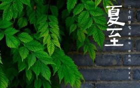 二十四節(jié)氣·夏至丨星繁愁晝熱 露重覺(jué)荷香縮略圖