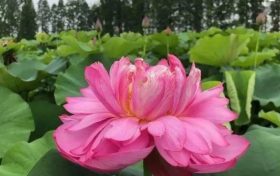 以夏天的名義，來漢中這里遇見不容錯過的風(fēng)景！縮略圖