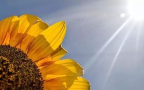 盲目追求“夏練三伏”不可取 專家送你份科學(xué)運(yùn)動(dòng)指南縮略圖