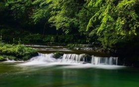 漢中避暑界的“頂流”，晚上還要蓋棉被！縮略圖