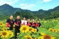 漢中新晉“網(wǎng)紅”向日葵花海，等你來打卡！縮略圖