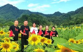 漢中新晉“網紅”向日葵花海，等你來打卡！縮略圖