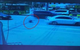 哐！“馬大哈”行李箱掉落渾然不知…交警僅用半小時物歸原主縮略圖