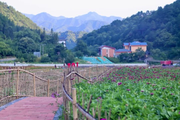 f44364ee2e62492ab8bb706971512ef4