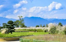 期待值拉滿！漢臺(tái)秋天的十種浪漫打開方式→縮略圖