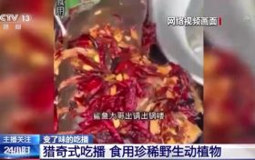 流量至上催生獵奇式吃播 多管齊下如何剎住“吃奇”之風(fēng)？縮略圖