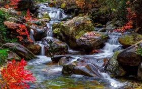 花開(kāi)千樹(shù)“層林盡染”，佛坪秋景大賞~縮略圖