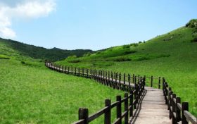 來(lái)留壩，我“氧”你！ 紫柏山負(fù)氧離子含量超國(guó)際標(biāo)準(zhǔn)13倍縮略圖