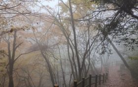 仙霧繚繞，如夢如幻！縮略圖