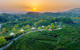 喜報(bào)！漢中市3縣獲第六批國(guó)家生態(tài)文明建設(shè)示范區(qū)和“兩山”基地命名！縮略圖