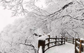 小雪：天寒將雪 貯藏御冬縮略圖