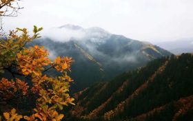 正當(dāng)時(shí)，邂逅青木川的初冬縮略圖