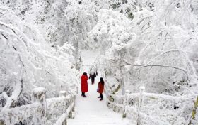 漢江源邀您裹握風(fēng)雪，暢意起行縮略圖
