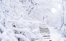 兩次弱雨雪！漢中“春節(jié)”最低氣溫在這天→縮略圖