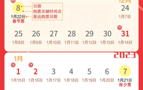 還有不到20天就過年了！返鄉(xiāng)出游這些要了解縮略圖