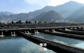 點(diǎn)贊！佛坪這一項(xiàng)目入國(guó)家農(nóng)業(yè)標(biāo)準(zhǔn)化示范區(qū)項(xiàng)目→縮略圖