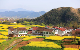 2023中國(guó)最美油菜花海漢中旅游文化節(jié)將于3月中旬開(kāi)幕！縮略圖