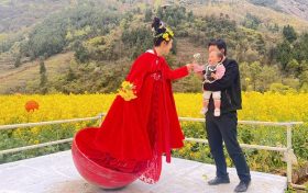 云巔巴山喜迎嘉賓，棧道花海歡慶盛典 | 快來寧強巴山棧道花海共同邂逅春的美麗縮略圖