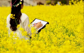 2023中國最美油菜花海漢中旅游文化節(jié)暨天漢樓 warm藝術(shù)節(jié)縮略圖