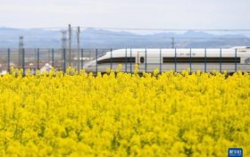為期半年！即日起陜西將開展全省旅游市場價格專項檢查縮略圖