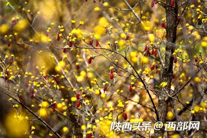 f56875a4af9431914efe51c4066137df