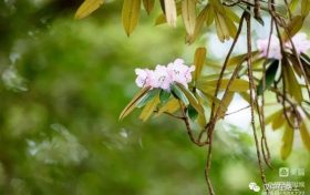 春游前，這份急救指南請(qǐng)先收好！縮略圖