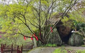 踏青賞春正當時，相約漢江源享受好春光縮略圖