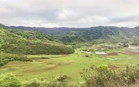 夏天來了，起居、飲食、運(yùn)動(dòng)有講究縮略圖