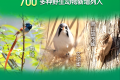 野豬正式調(diào)出“三有”名錄！專家：不代表可以隨意捕殺縮略圖