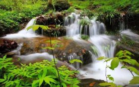 清涼避暑，到漢江源來吧~縮略圖