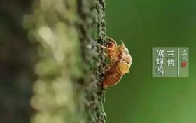 立秋：萬物驚秋 時節(jié)如流縮略圖