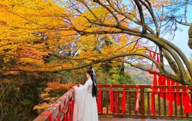 登山賞秋，漢江源馬上迎來第一波浪漫秋色!縮略圖