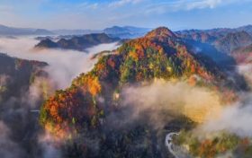 210國(guó)道(灃峪口至寧陜界)水毀路段封閉施工縮略圖