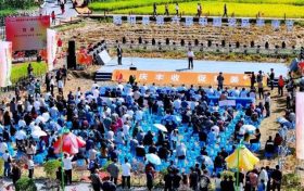 慶豐收，促和美 | 略陽縣第六屆中國農(nóng)民豐收節(jié)開幕縮略圖