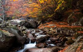 預(yù)計(jì)未來三天陜西為陰雨天氣 局地會(huì)出現(xiàn)大雨縮略圖