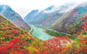 不負(fù)美景不負(fù)秋！不管你去不去，這份秋日攻“略”都值得收藏！縮略圖