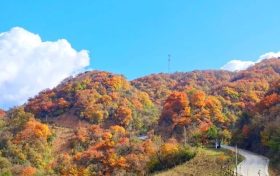 又是一年彩林季，漢江源彩林搶先看~縮略圖