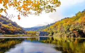 今日迎來霜降節(jié)氣 這是秋天結(jié)束、冬天到來的交界點(diǎn)縮略圖