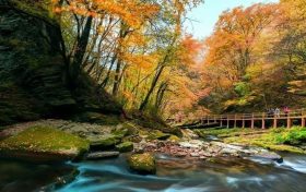 重磅！漢中這家4A景區(qū)全民免門(mén)票！縮略圖
