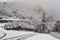 就在今天，陜西太白山又下雪了！縮略圖