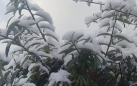 強(qiáng)風(fēng)雨天氣來(lái)襲，24日正式進(jìn)入霜降節(jié)氣縮略圖