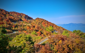 已經(jīng)紅了，快來(lái)漢江源看彩林！縮略圖