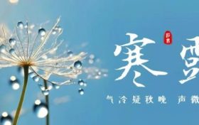 今天21時(shí)16分！迎來(lái)寒露節(jié)氣縮略圖
